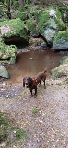 Gertelbach Wasserfälle Rundweg