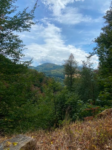Fischweiher Rundwanderung