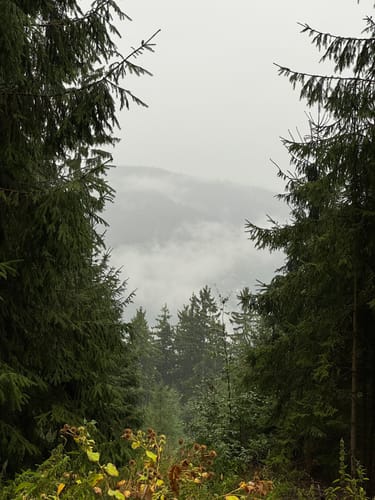 Neckarsteinach: Vier Burgen und Goetheblick [CLOSED]