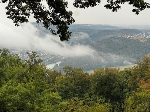 Neckarsteinach: Vier Burgen und Goetheblick [CLOSED]