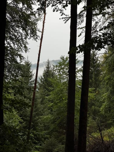 Neckarsteinach: Vier Burgen und Goetheblick [CLOSED]