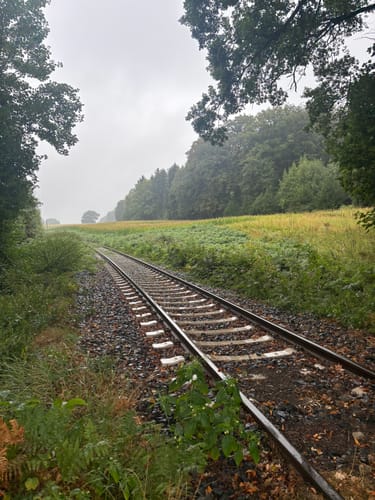 Tecklenburger Bergpfad (Premiumwanderweg)