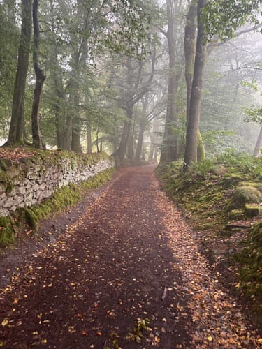 Tecklenburger Bergpfad (Premiumwanderweg)