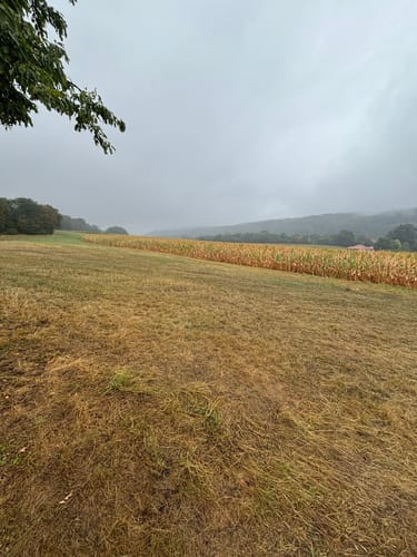Tecklenburger Bergpfad (Premiumwanderweg)