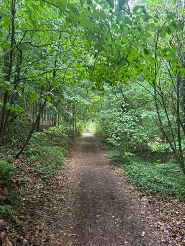 Tecklenburger Bergpfad (Premiumwanderweg)
