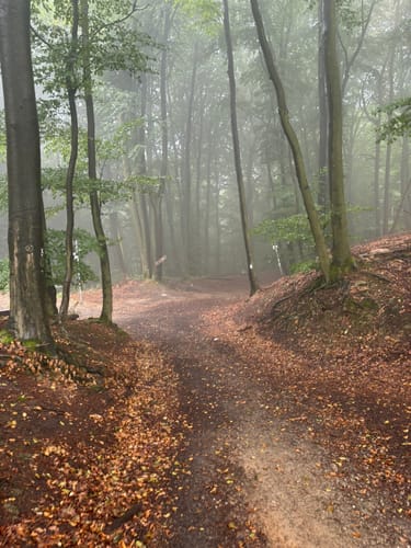 Tecklenburger Bergpfad (Premiumwanderweg)