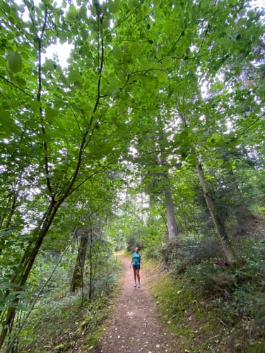 Wolfacher Schlossblick (Premiumwanderweg)
