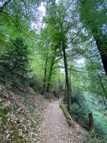 Wolfacher Schlossblick (Premiumwanderweg)