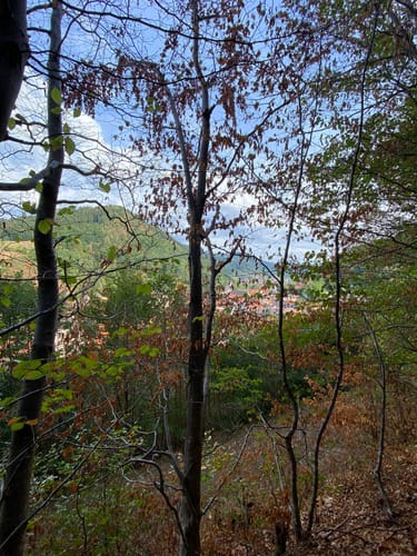 Wolfacher Schlossblick (Premiumwanderweg)