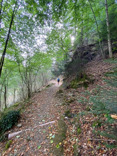 Wolfacher Schlossblick (Premiumwanderweg)
