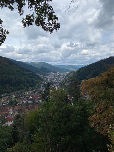 Wolfacher Schlossblick (Premiumwanderweg)