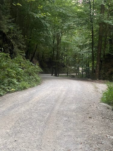 Aueralm und Zwergelberg