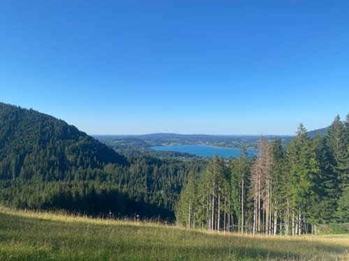 Aueralm und Zwergelberg