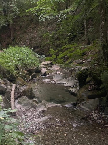 Aueralm und Zwergelberg