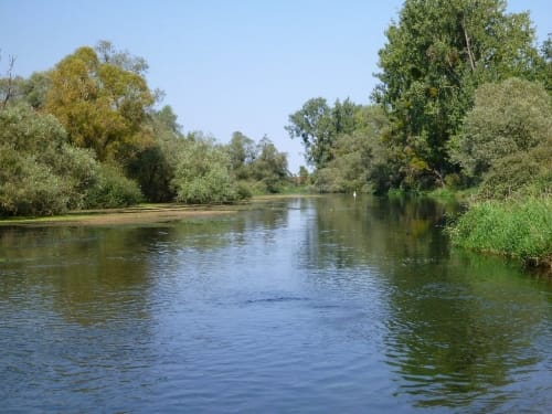 Kanufahrt Altrhein Ottenheim - Goldscheuer