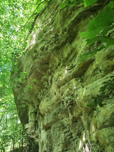 Naturpark Südeifel Wanderweg Nr. 53 - Ernzen