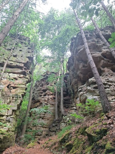 Naturpark Südeifel Wanderweg Nr. 53 - Ernzen