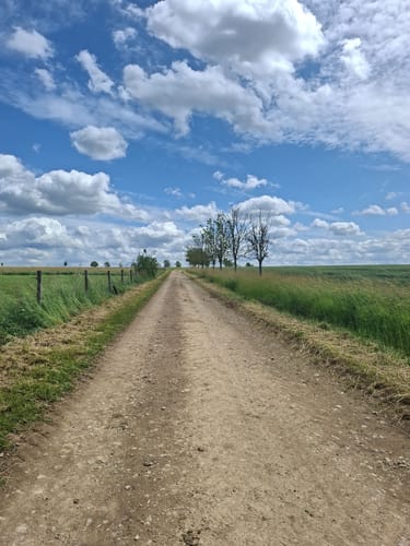 Naturpark Südeifel Wanderweg Nr. 53 - Ernzen