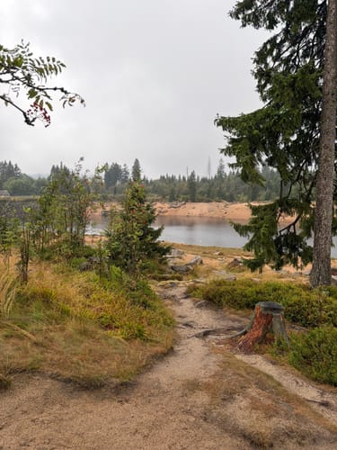 Rundwanderweg Oderteich