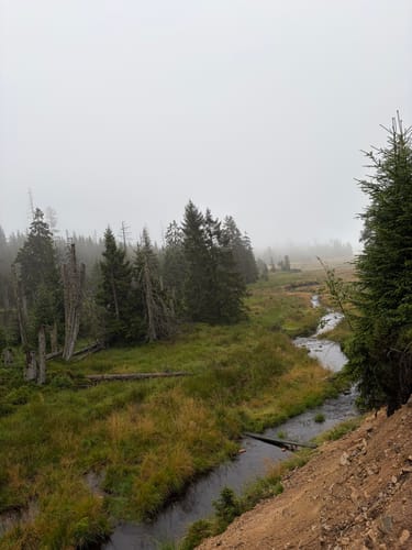 Rundwanderweg Oderteich