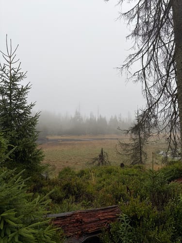 Rundwanderweg Oderteich