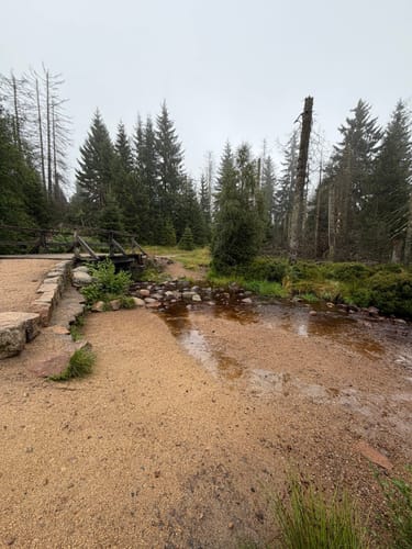 Rundwanderweg Oderteich