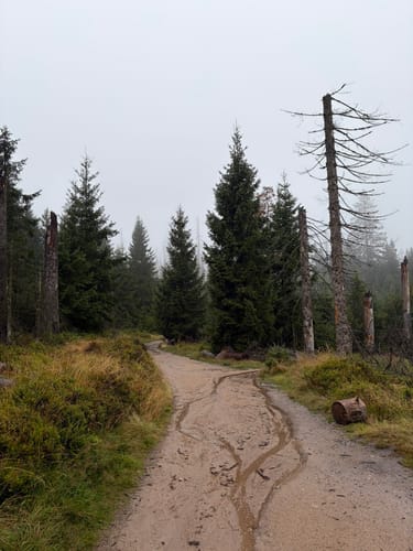 Rundwanderweg Oderteich