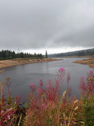 Rundwanderweg Oderteich