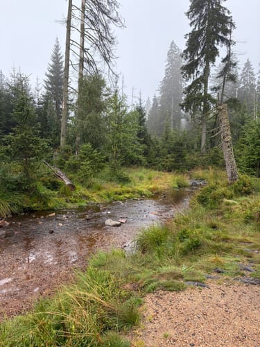 Rundwanderweg Oderteich