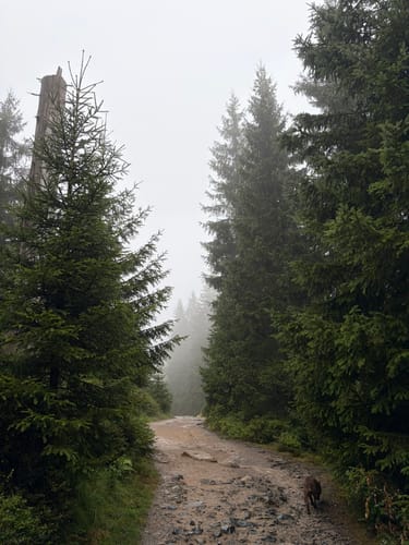 Rundwanderweg Oderteich