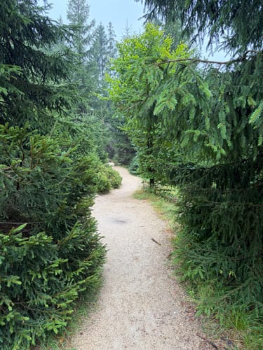 Rundwanderweg Oderteich