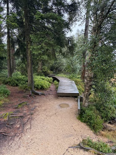 Rundwanderweg Oderteich