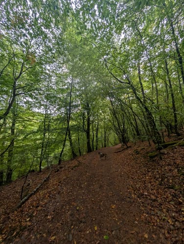 Saarschleife: Besseringen - Sankt Gangolf - Montclair