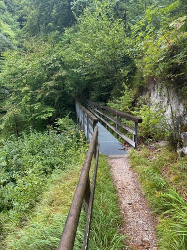 Thumsee - Weißbachschlucht - Höllenbachalm