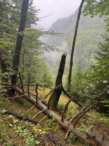 Thumsee - Weißbachschlucht - Höllenbachalm