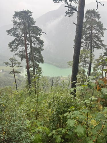 Thumsee - Weißbachschlucht - Höllenbachalm