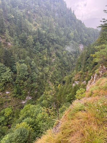 Thumsee - Weißbachschlucht - Höllenbachalm