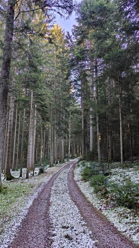 Oberkollwangen: Talblick Grün