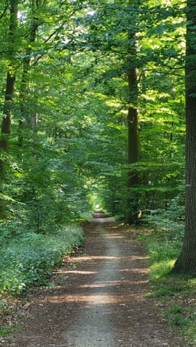 Krückau-Wanderweg
