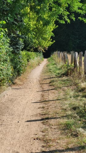 Krückau-Wanderweg