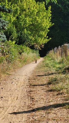 Krückau-Wanderweg