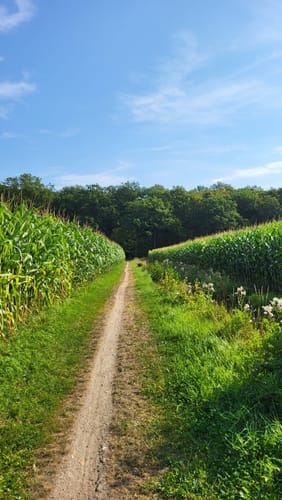 Krückau-Wanderweg