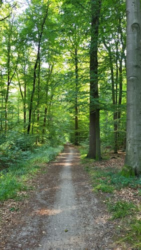 Krückau-Wanderweg
