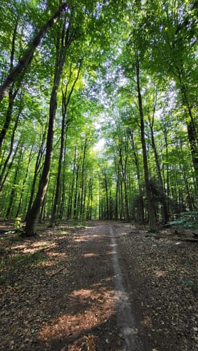 Krückau-Wanderweg