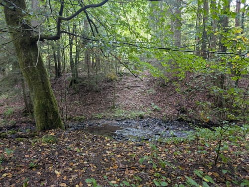 Wanderweg Gelber Balken