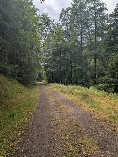 Wanderweg Gelber Balken