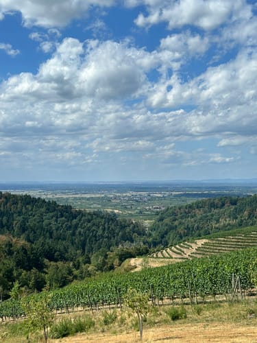 Ortenauer Sagenrundwege: Kutzenstein
