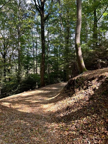 Ortenauer Sagenrundwege: Kutzenstein
