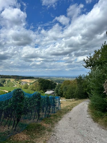 Ortenauer Sagenrundwege: Kutzenstein