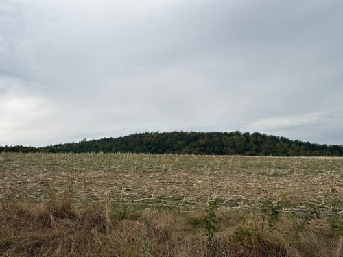 Arche Nebra - Mittelberg